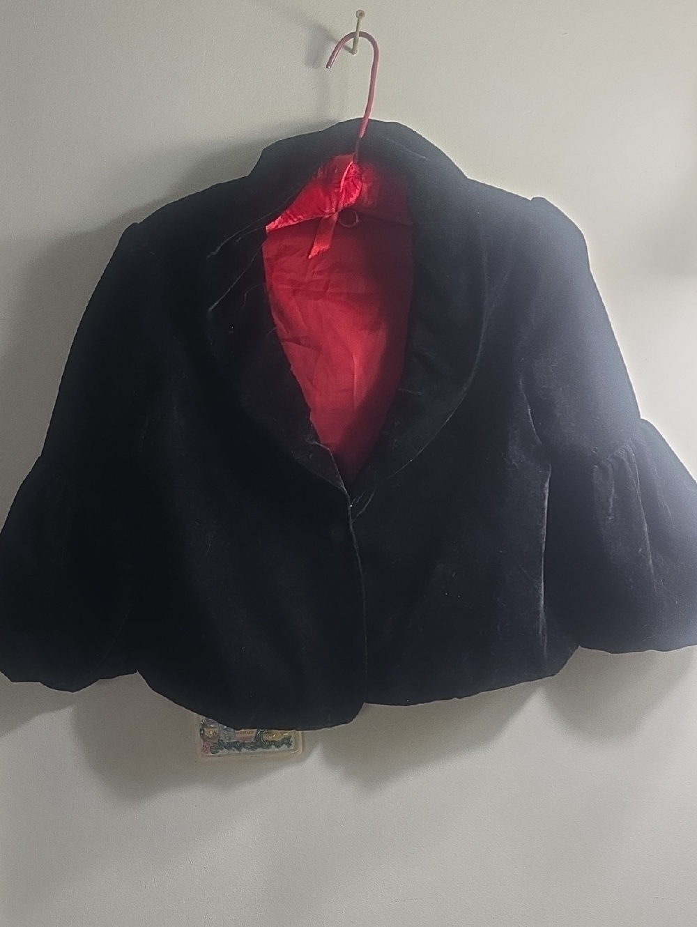 Black Velvet Cropped Blazer with Red Lining